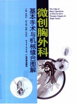 微创胸外科基本手术与器械缝合图解 封面