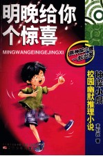 明晚给你个惊喜 封面