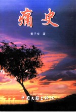 痛史 封面
