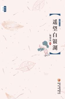 遥望白银湖 封面