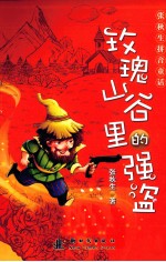 玫瑰山谷里的强盗 封面