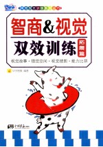 智商&amp;视觉双效训练  拓展篇 封面