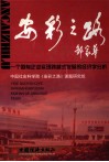 安彩之路  一个国有企业实现跨越式发展的经济学分析 封面