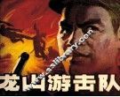 龙山游击队 封面