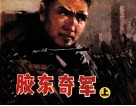 胶东奇军  上 封面