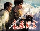 高原风雪 封面