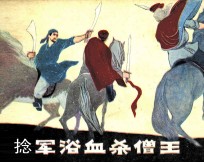 捻军浴血杀僧王 封面