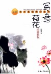 写意荷花绘画教程 封面
