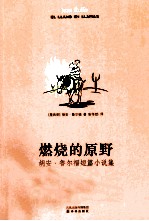燃烧的原野 封面
