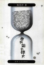 刚开始的碎片 封面