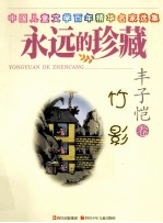 竹影  丰子恺卷 封面