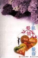 手机爱情酸曲 封面
