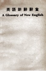 英语新辞辞汇 封面