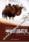 神秘的骆驼乳 电子书封面