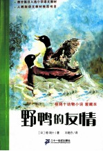 野鸭的友情 封面