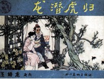 玉娇龙之六  龙潜虎归 封面