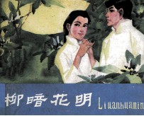 柳暗花明 封面