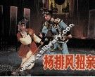 杨排风招亲 封面