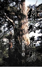 稀龄集韵 电子书封面
