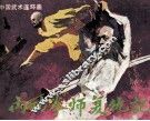 内功拳师复仇记 封面