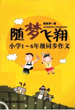 随梦飞翔 封面