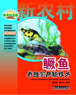 鳜鱼养殖实用新技术 封面