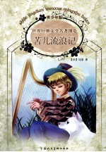 世界经典文学名著博览  苦儿流浪记  青少年版 封面