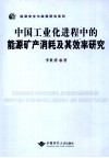 中国工业化进程中的能源矿产消耗及其效率研究 封面