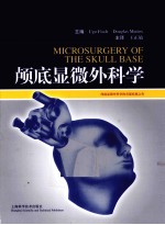 颅底显微外科学 封面