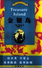 金银岛 封面