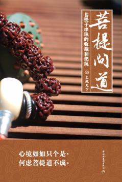 菩提问道  菩提子串珠的收藏和把玩 封面