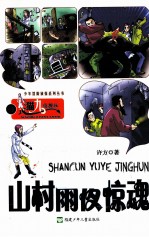 山村雨夜惊魂 封面