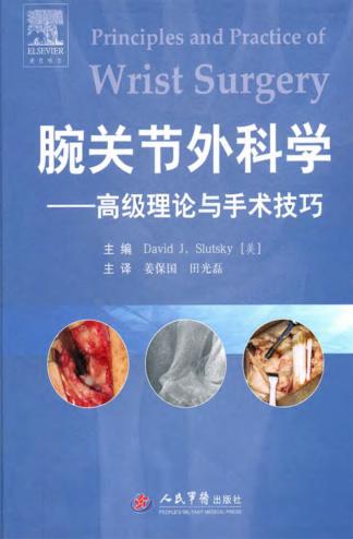腕关节外科学  高级理论与手术技巧 封面