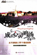 永不言败的100个励志故事 封面