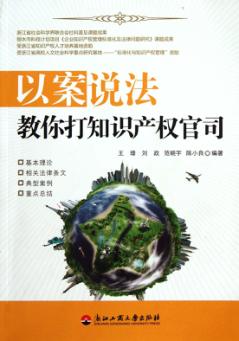 以案说法 教你打知识产权官司 封面