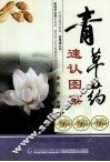 青草药速认图集 封面