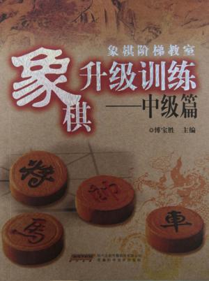 象棋阶梯教室象棋升级训练  中级篇 封面