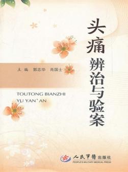 头痛辨治与验案 封面