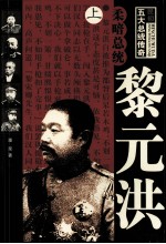 柔暗总统  黎洪元  上 封面