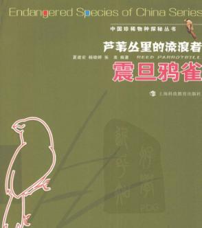 芦苇丛里的流浪者  震旦鸦雀 封面