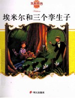 埃米尔和三个孪生子 封面