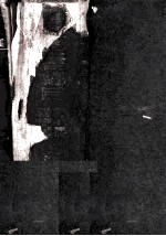 四库全书总目  第10册  总目索引  全毁书目  禁书总目  书目表  违礙书目 封面