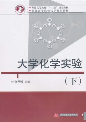 大学化学实验  下 封面