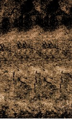 历朝纲鉴会篆  16 封面