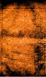 王凤洲%袁%纲鉴合编  8 封面