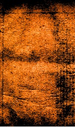 王凤洲%袁%纲鉴合编  9 封面