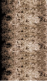 历朝纲鉴会篆  9 封面