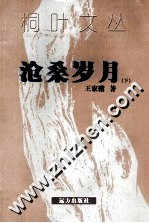 桐叶文丛  沧桑岁月  下 封面