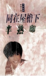 日本电视小说精品 半熟卵  同在屋檐下 封面