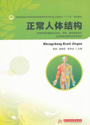 正常人体结构 封面
